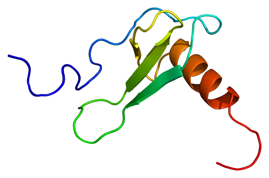 Protein Ribbon Structure Representation
