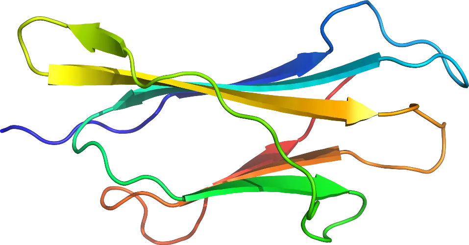 Protein 3D Structure