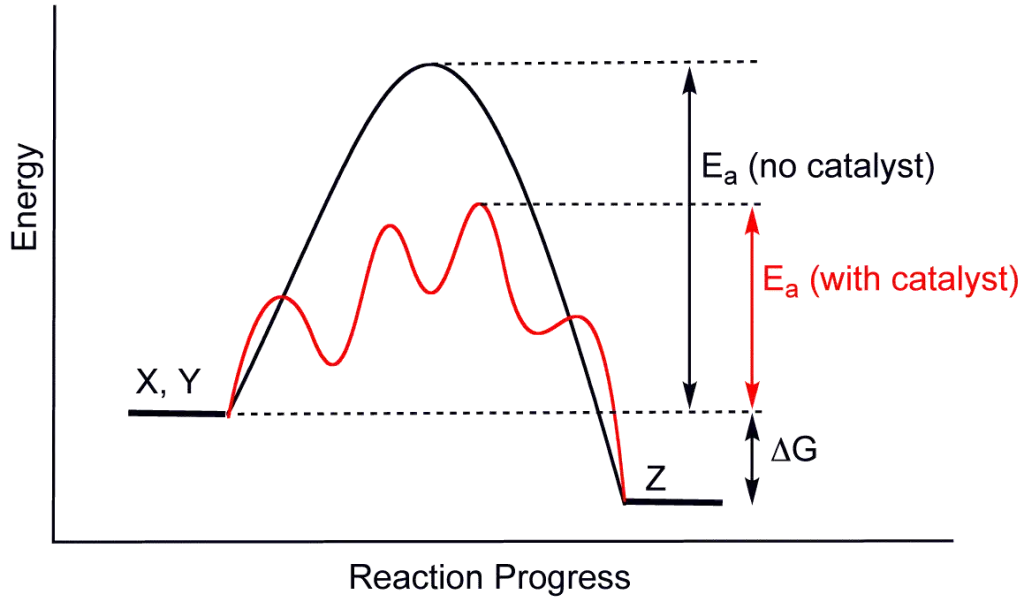 Reaction Energy Progress Diagram for Chemistry