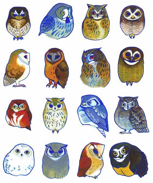 Cartoon Owls Collection