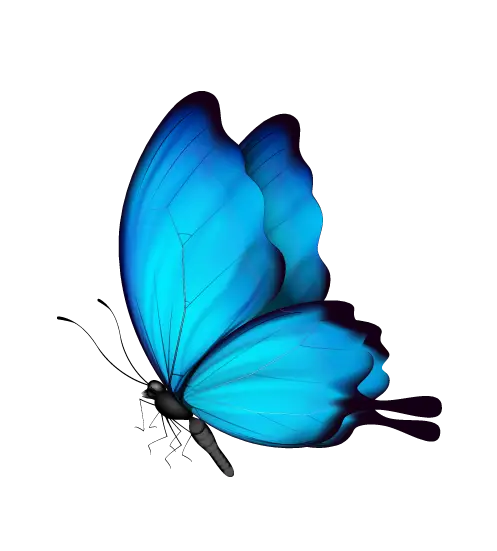 Blue Butterfly Illustration with Vibrant Wings