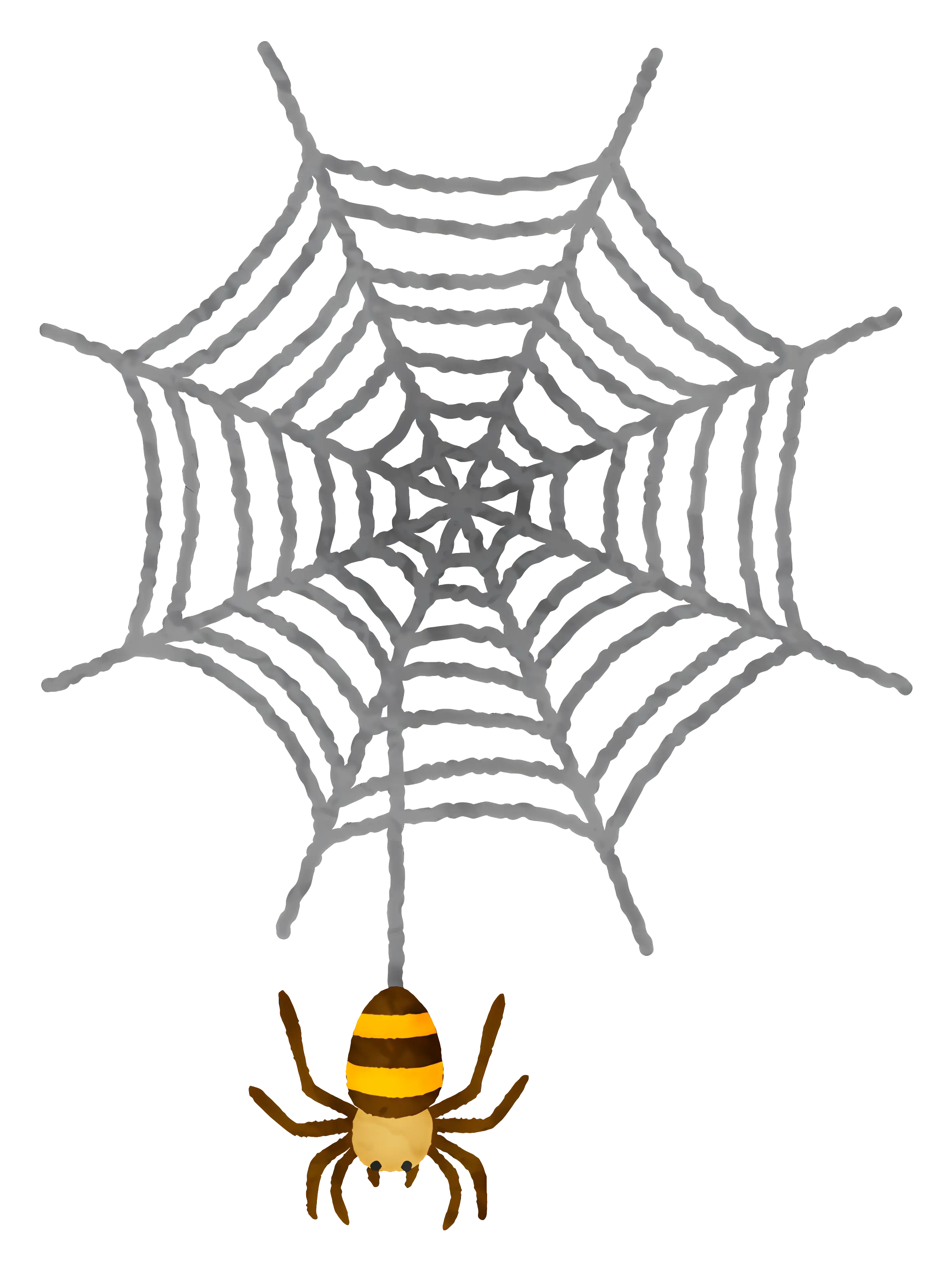 Spider Hanging from Intricate Web