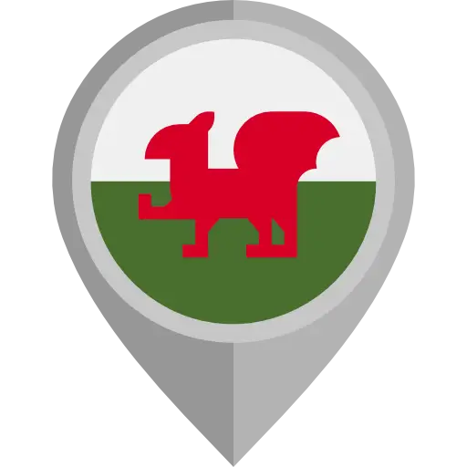 Red Dragon Emblem on a Flag