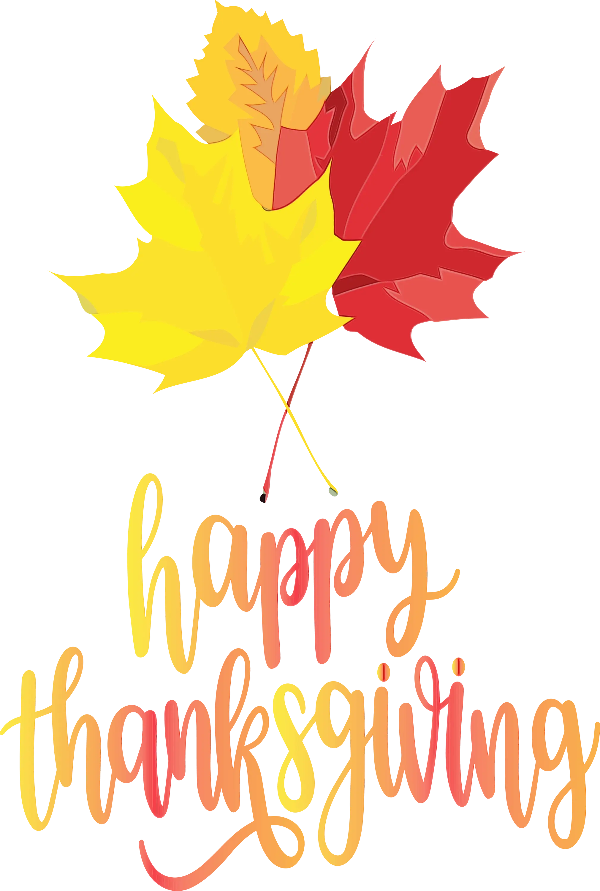 Happy Thanksgiving with Maple Leaves