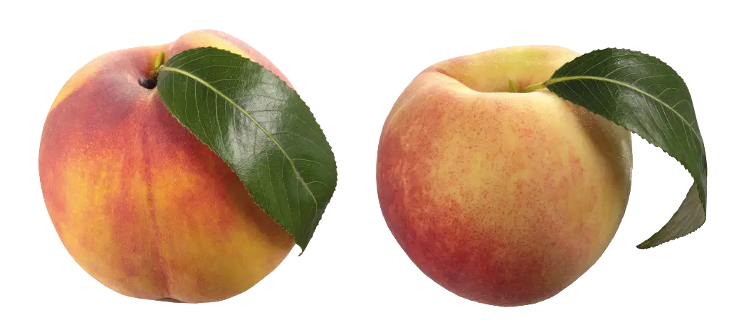 Peach with Green Leaves Illustration