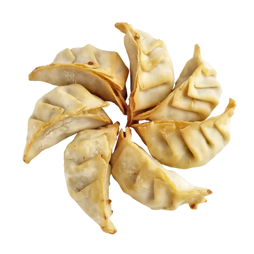 Golden Fried Dumplings in Circular Arrangement