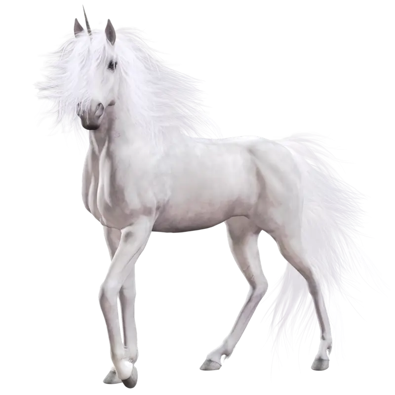 White Unicorn with Graceful Pose