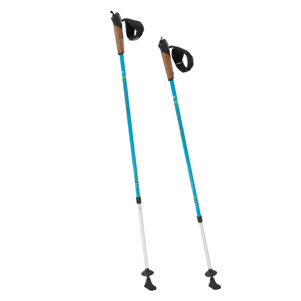 Pair of Hiking Poles
