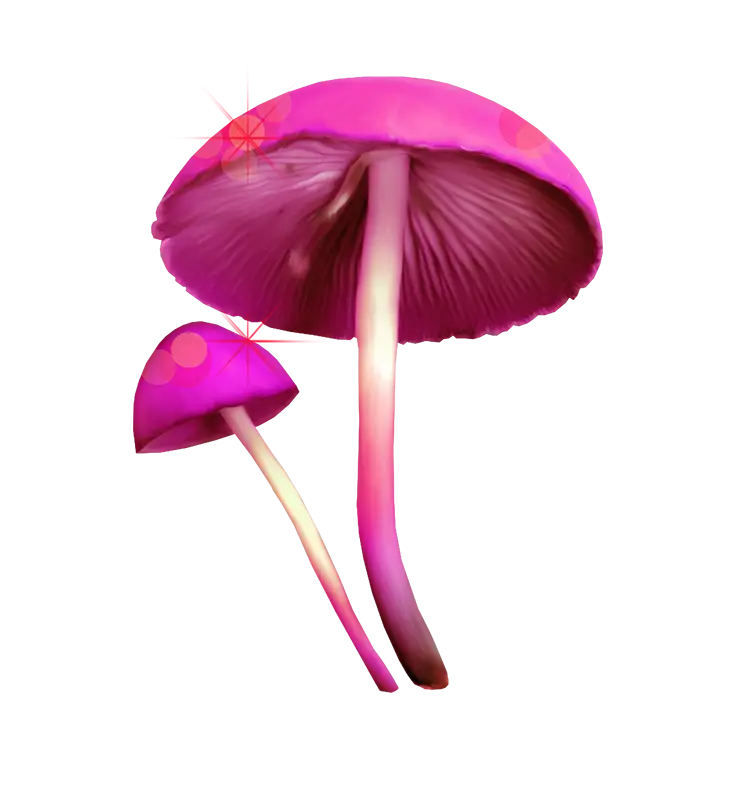 Illustration of Pink Mushrooms