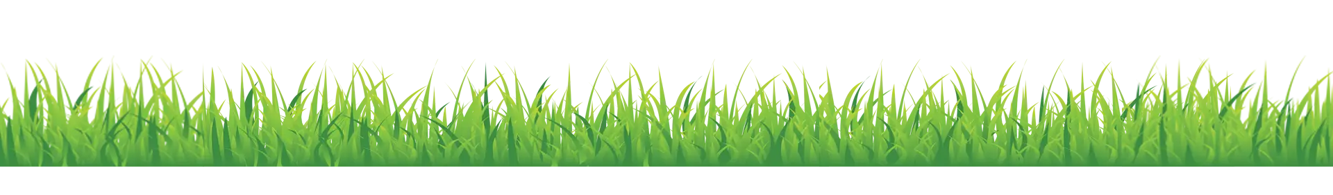 Green Grass Border for Nature Themes
