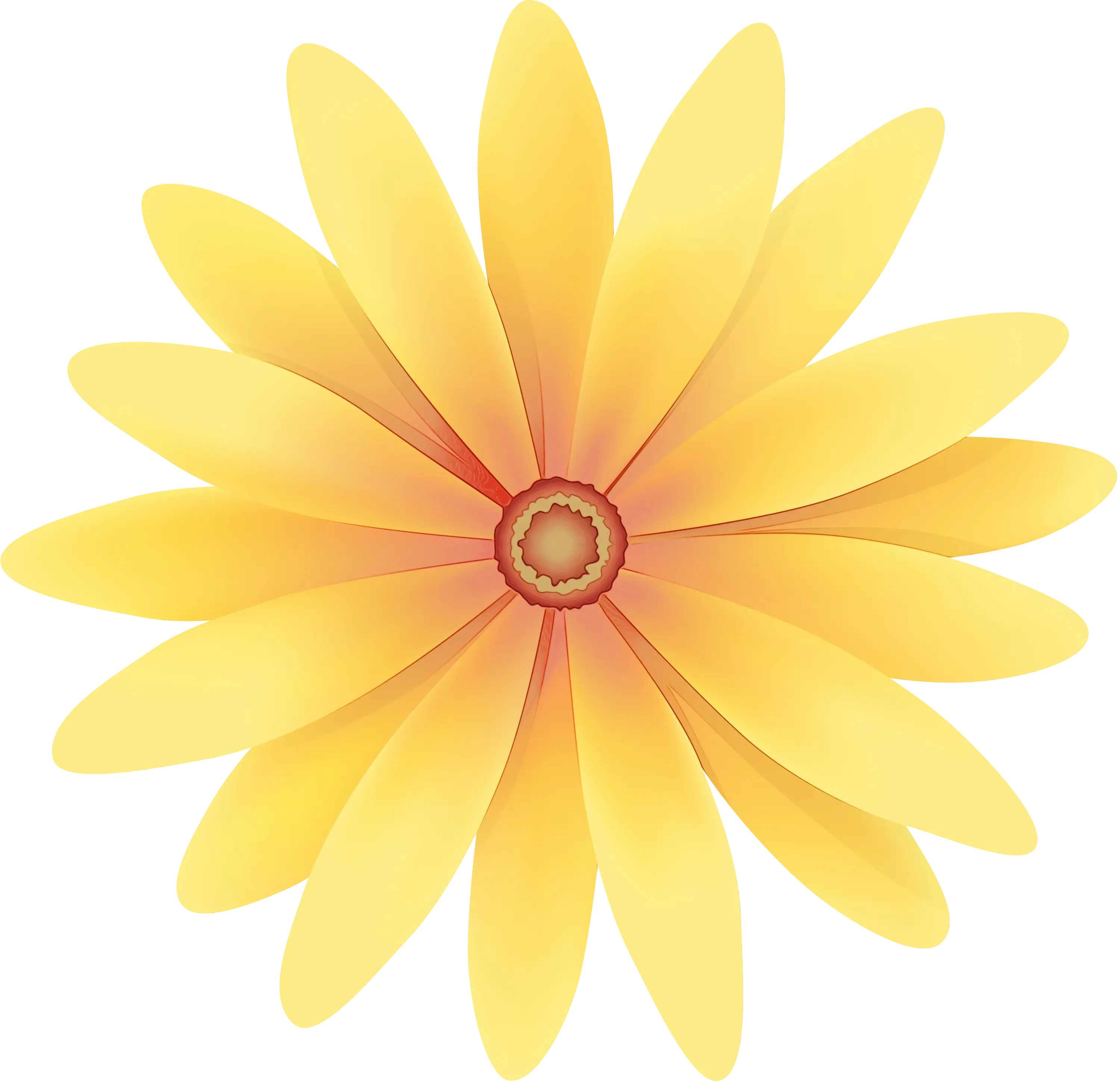 Yellow Daisy Flower Illustration