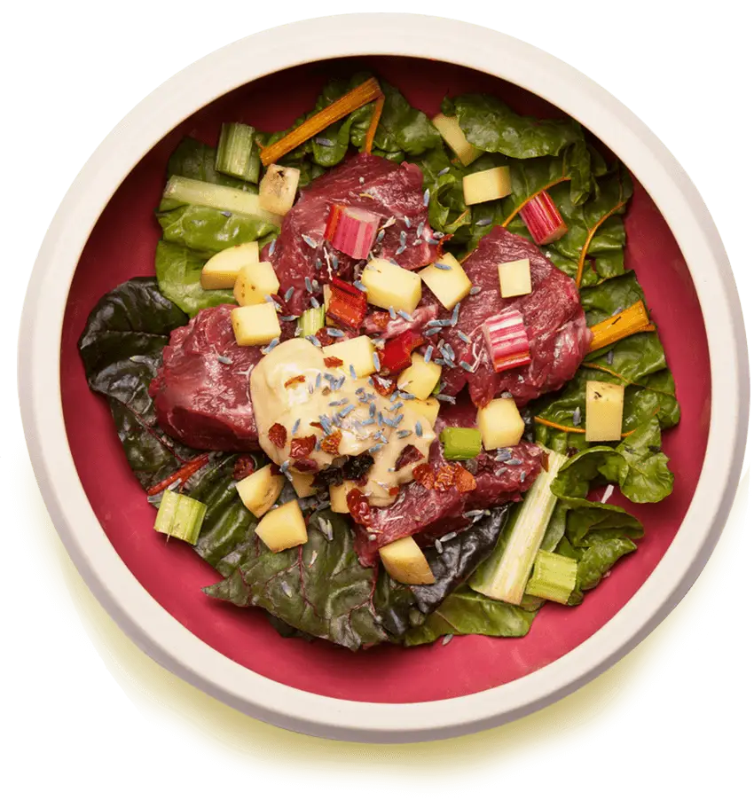 Colorful Salad with Fresh Vegetables