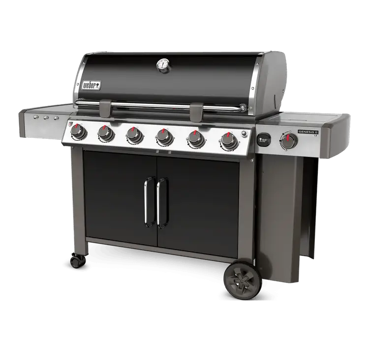 Outdoor Gas Grill with Multiple Knobs