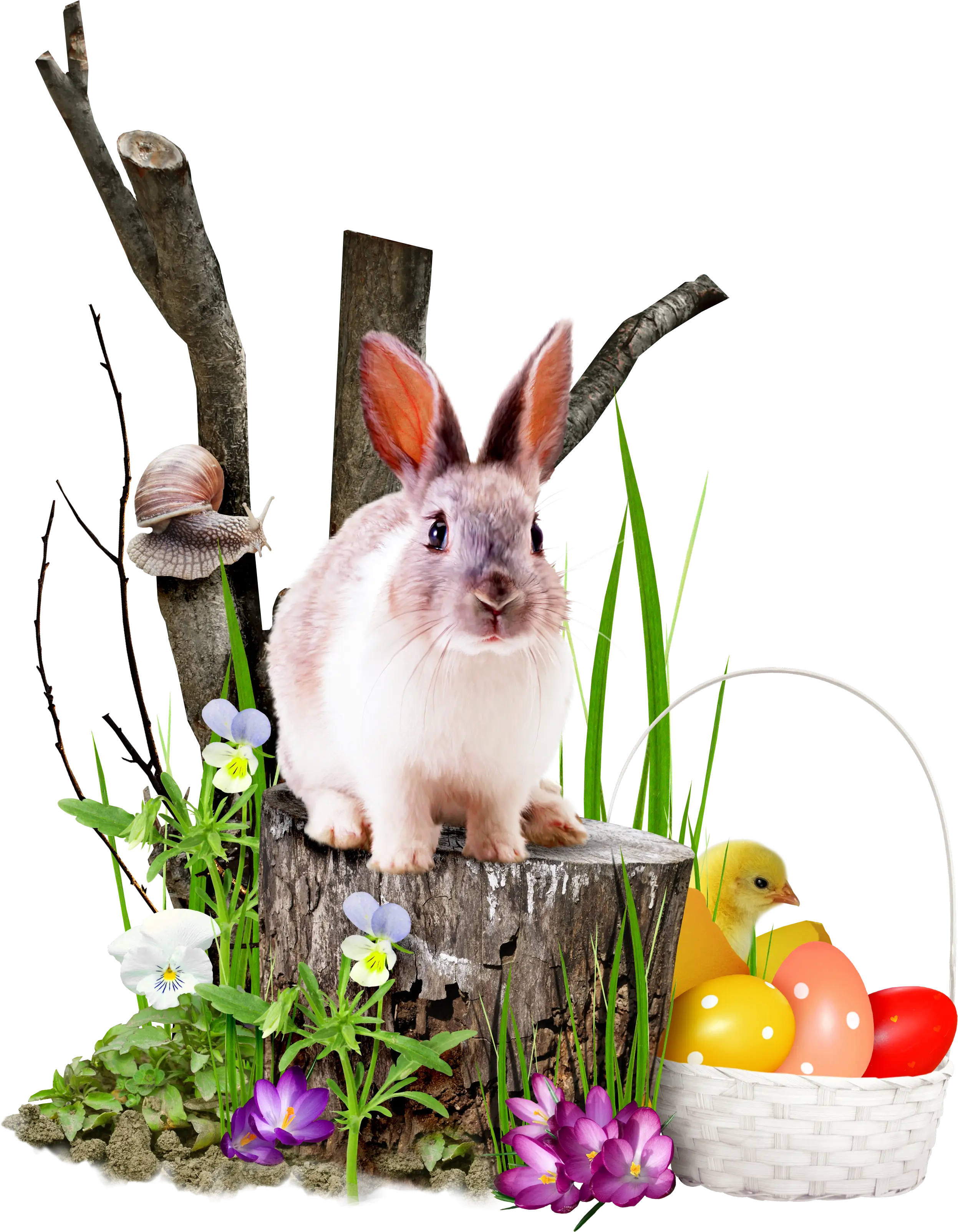 Easter Rabbit with Eggs and Flowers