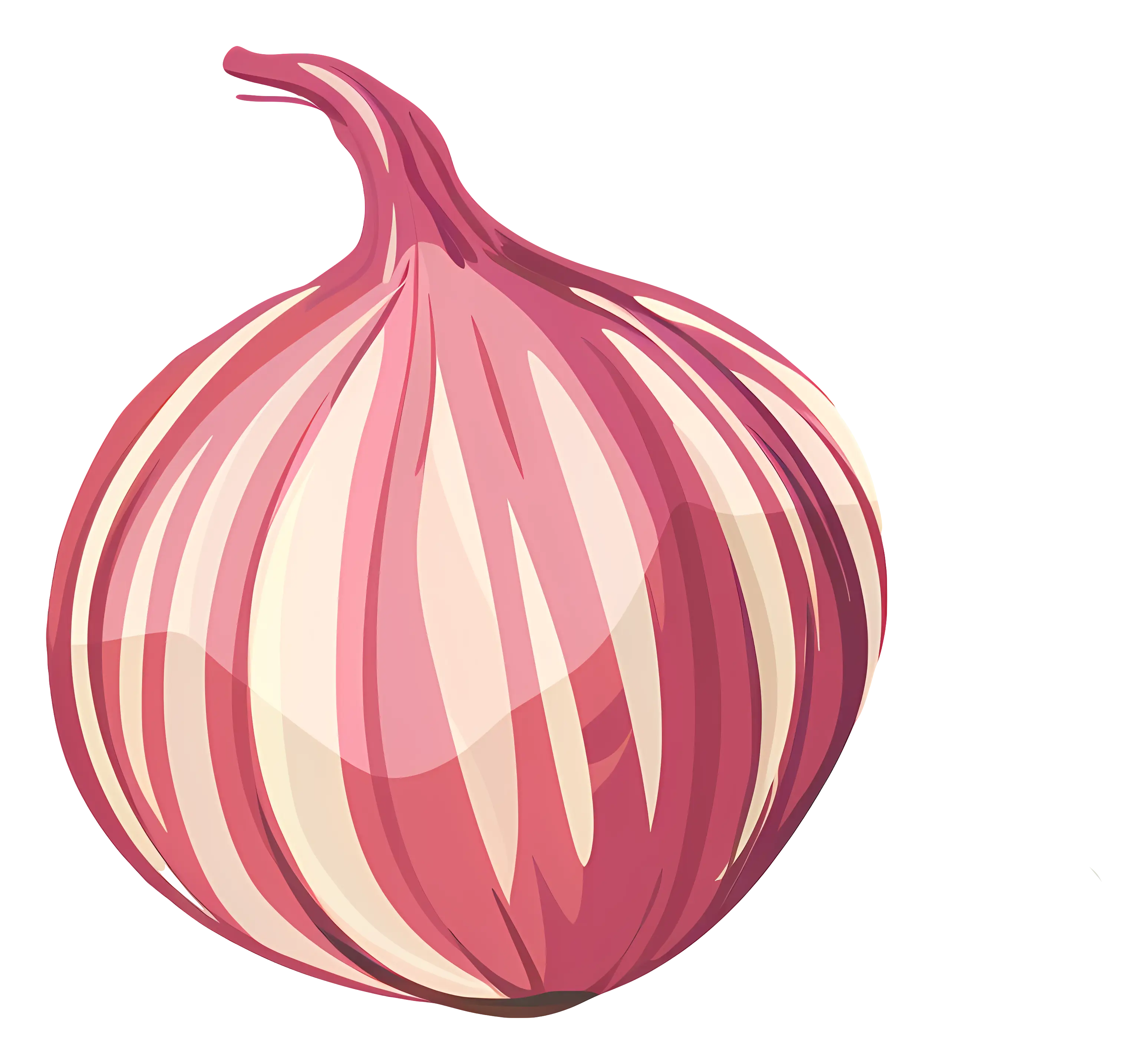 Pink Onion Illustration for Food Concepts