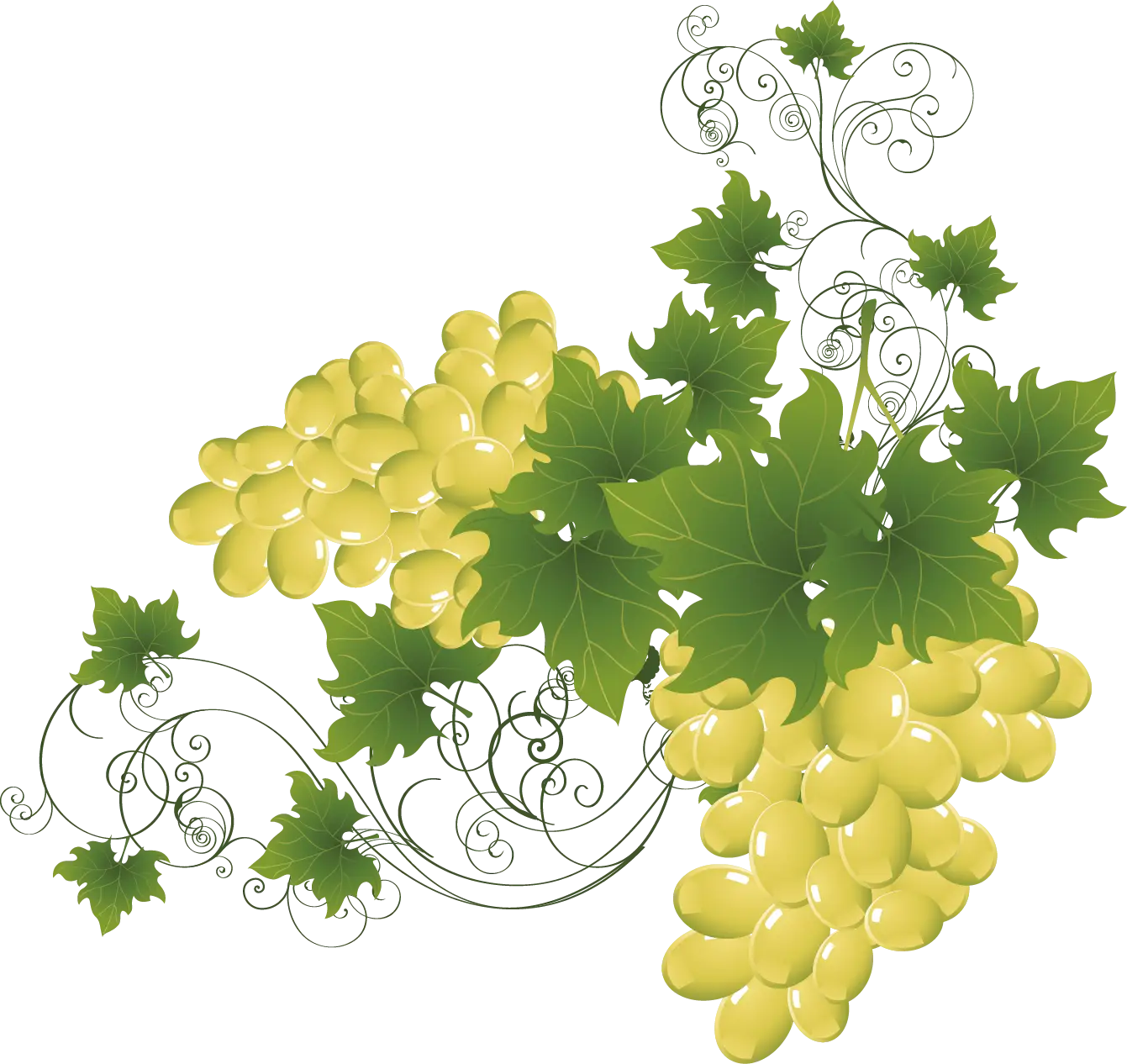 Yellow Grapes with Leaves