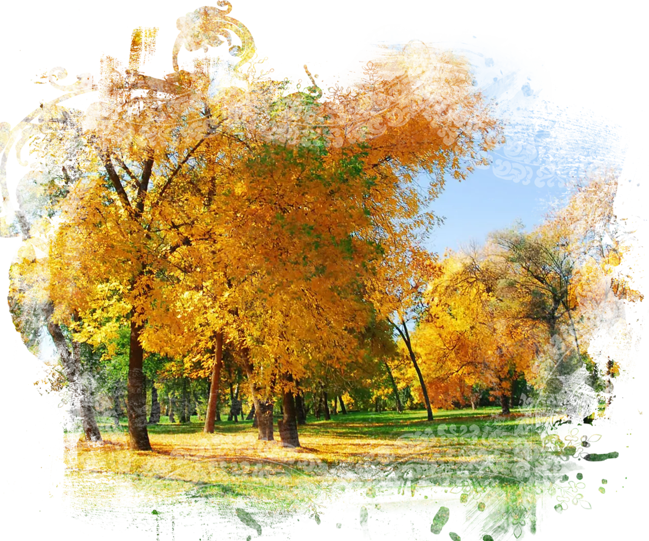 Beautiful Autumn Trees