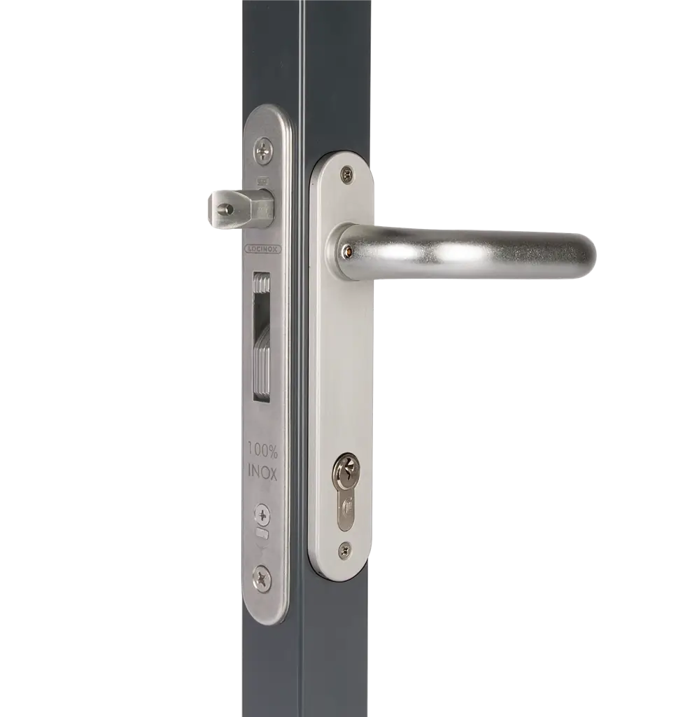 Silver Door Handle and Lock