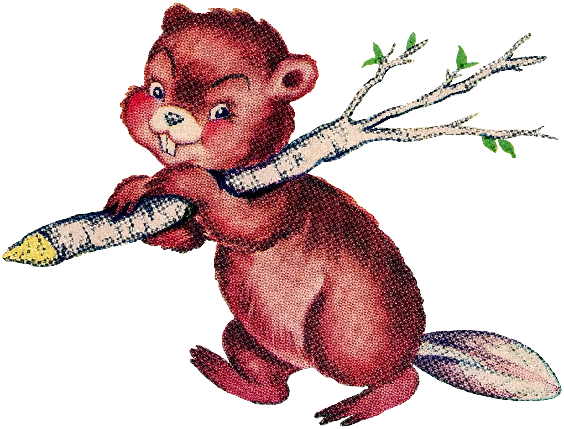 Cute Beaver with Branch