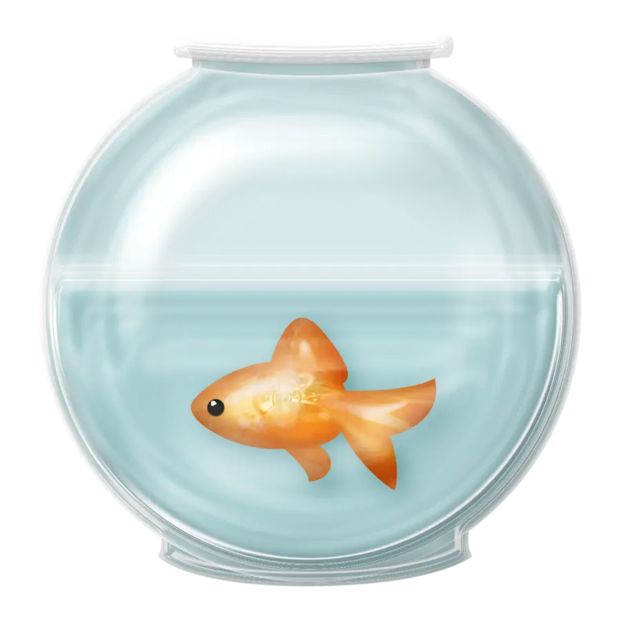 Goldfish in a Bowl
