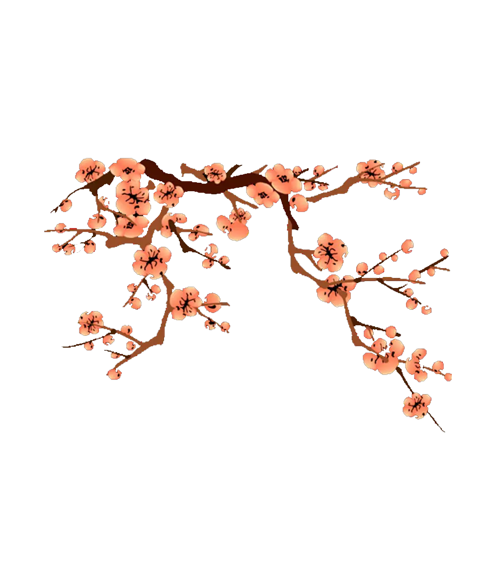 Pink Flowering Branch Illustration