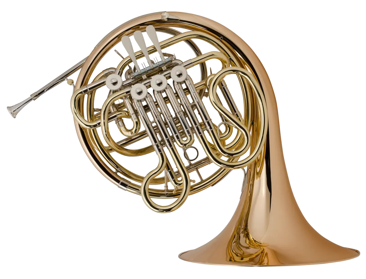 Illustration of a Gold French Horn