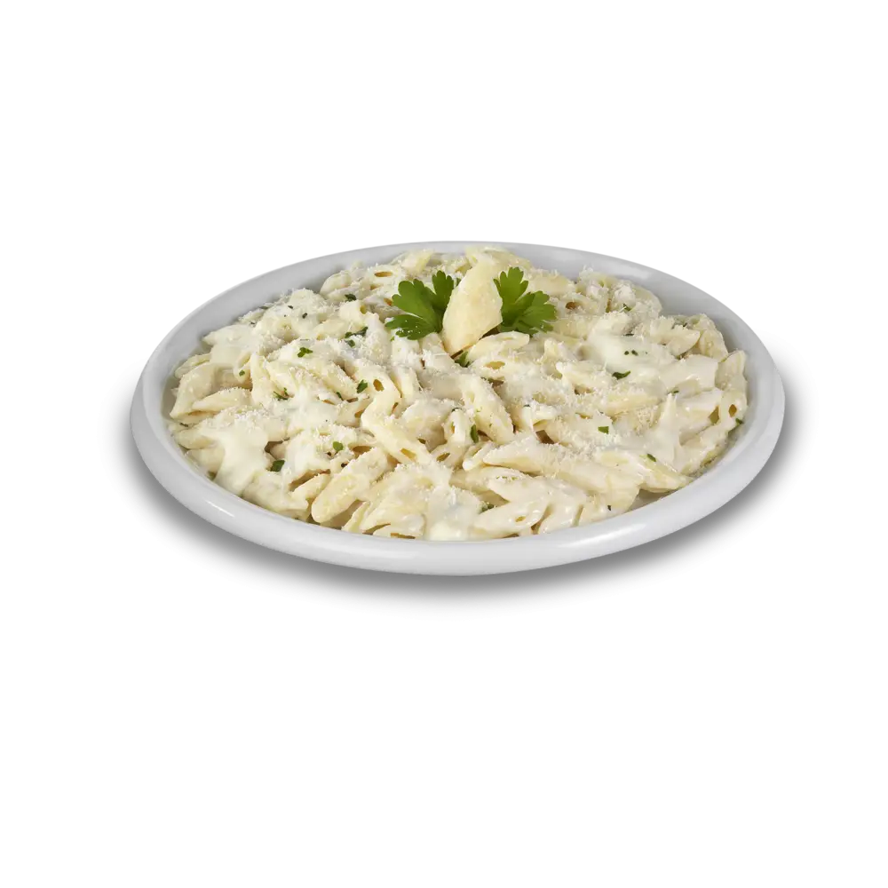 Pasta Alfredo Dish