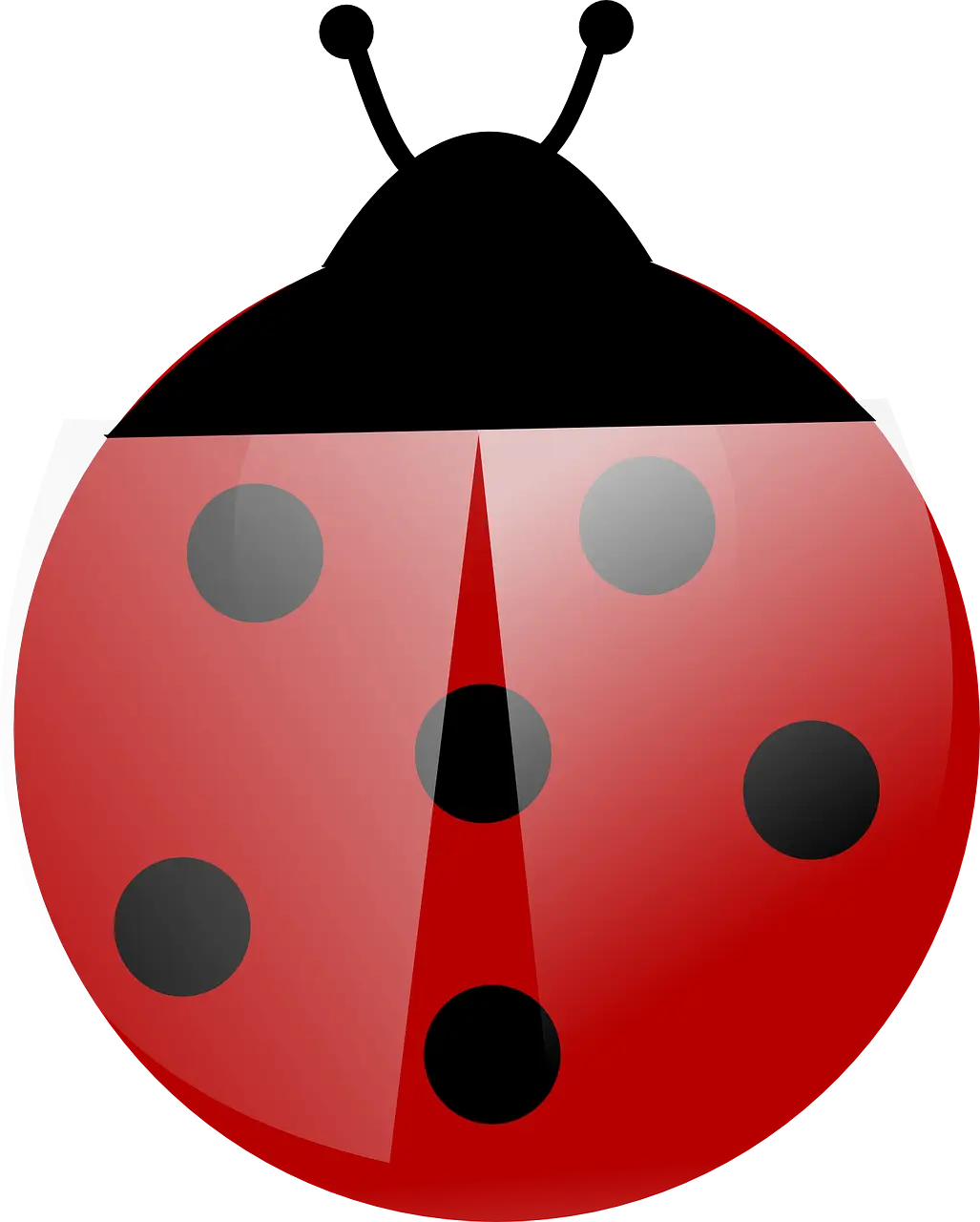 Colorful Cartoon Ladybug Illustration
