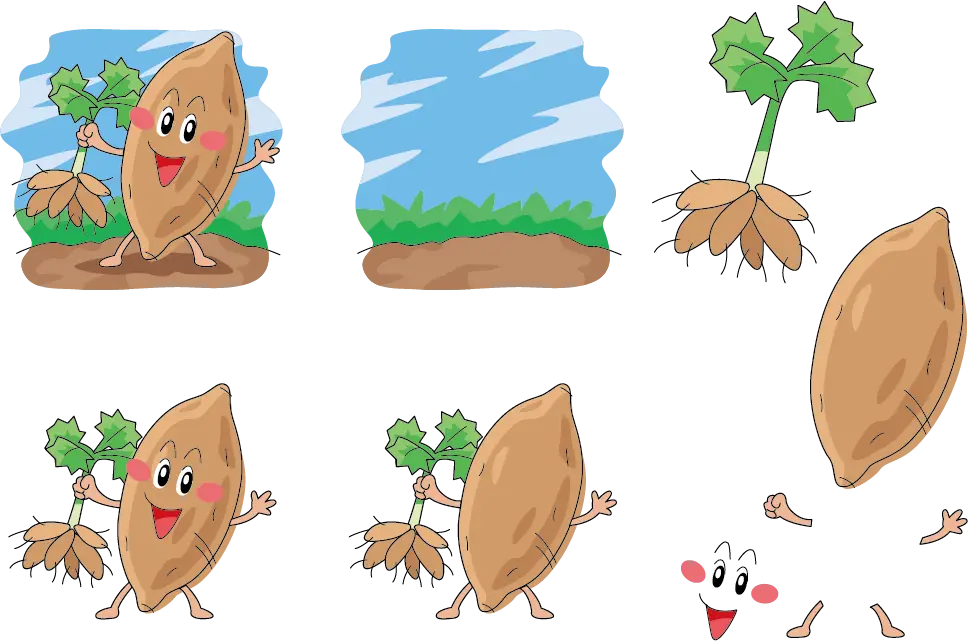 Cartoon Seed Growing into Plant