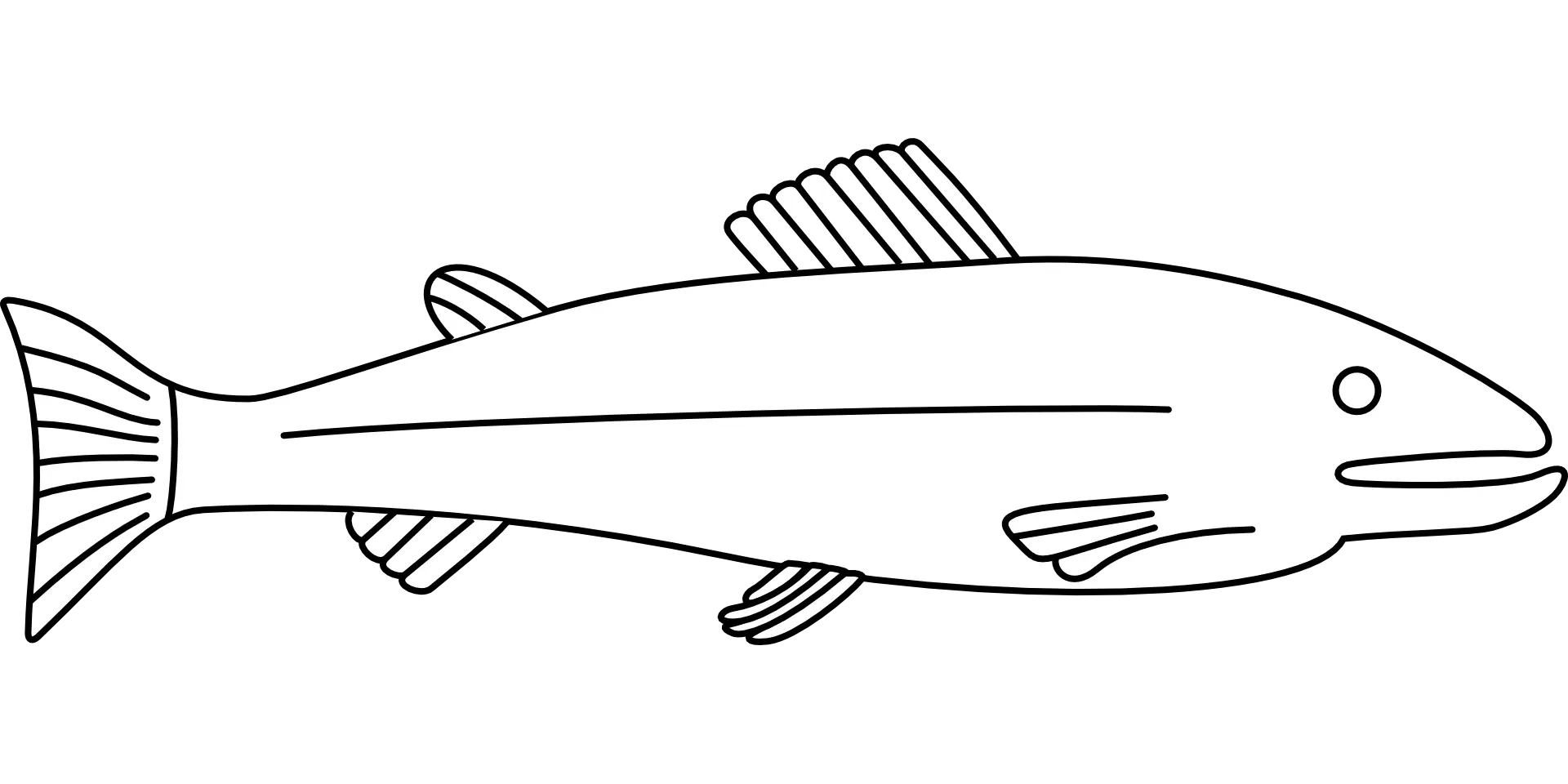 Minimalist Fish Line Art Illustration