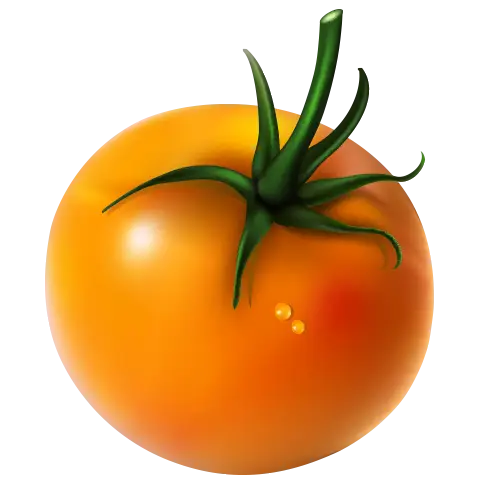 Realistic Illustration of an Orange Tomato
