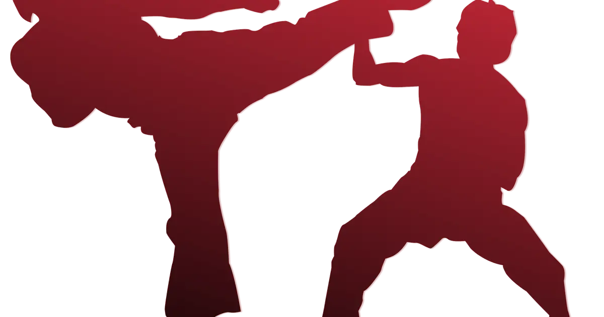Martial Arts Silhouette with Dynamic Kick