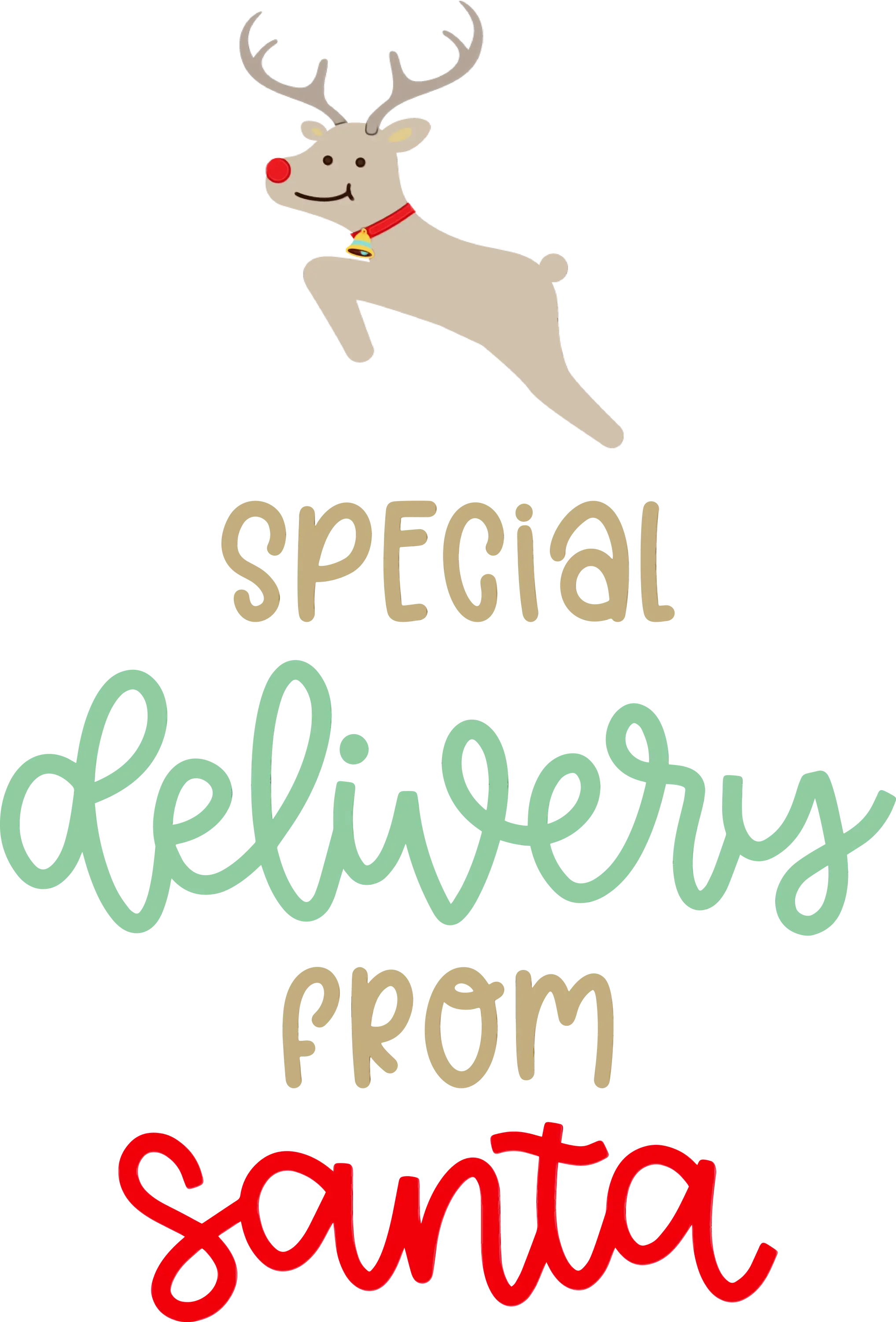 Special Deliveries from Santa Text Design