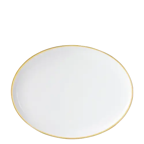 Elegant White Plate with Gold Rim