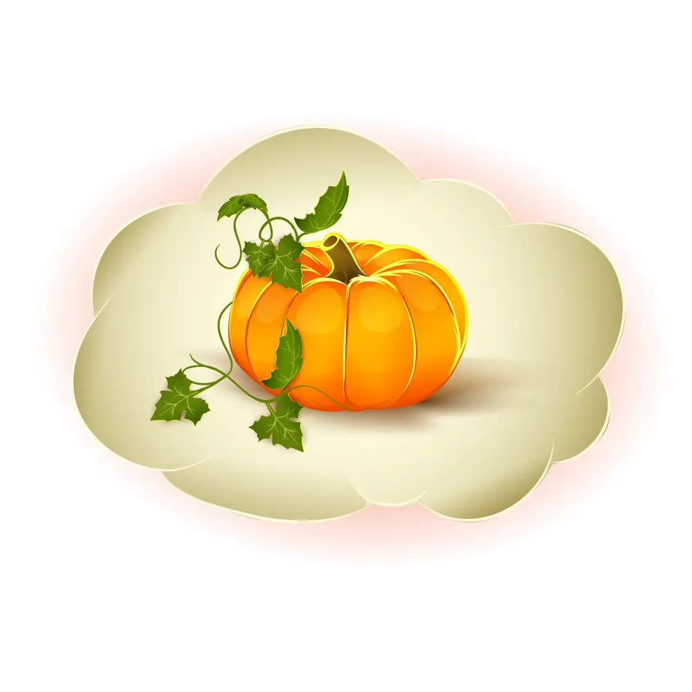 Orange Pumpkin Illustration with Vines