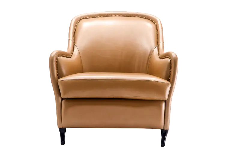 Stylish Leather Armchair