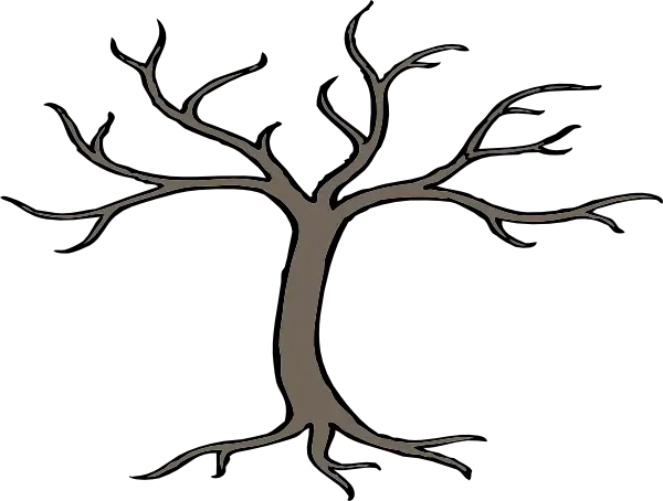 Bare Tree Illustration Without Leaves