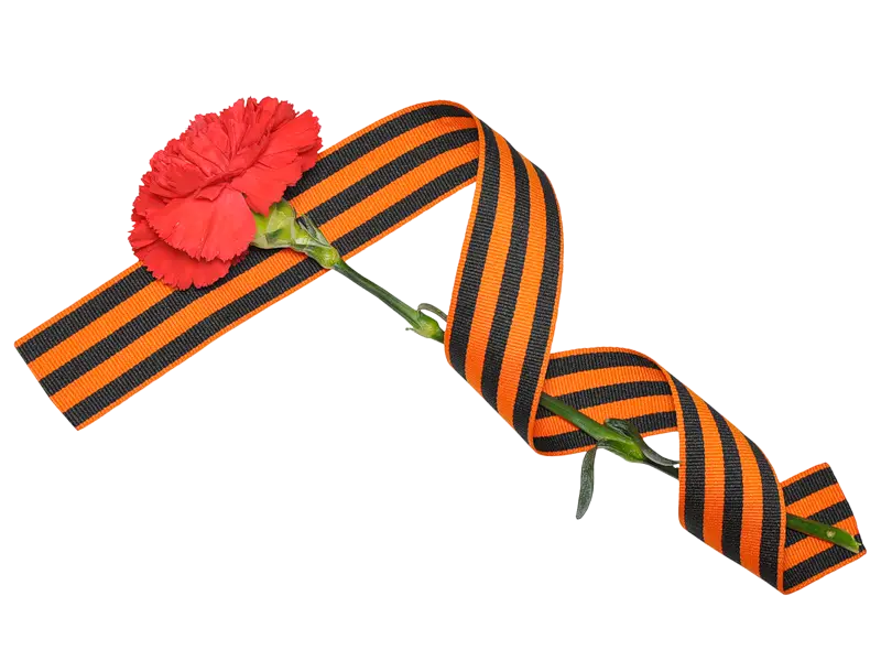 Red Carnation with St. George Ribbon for Victory Day