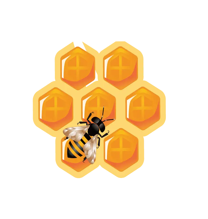 Bee on Honeycomb