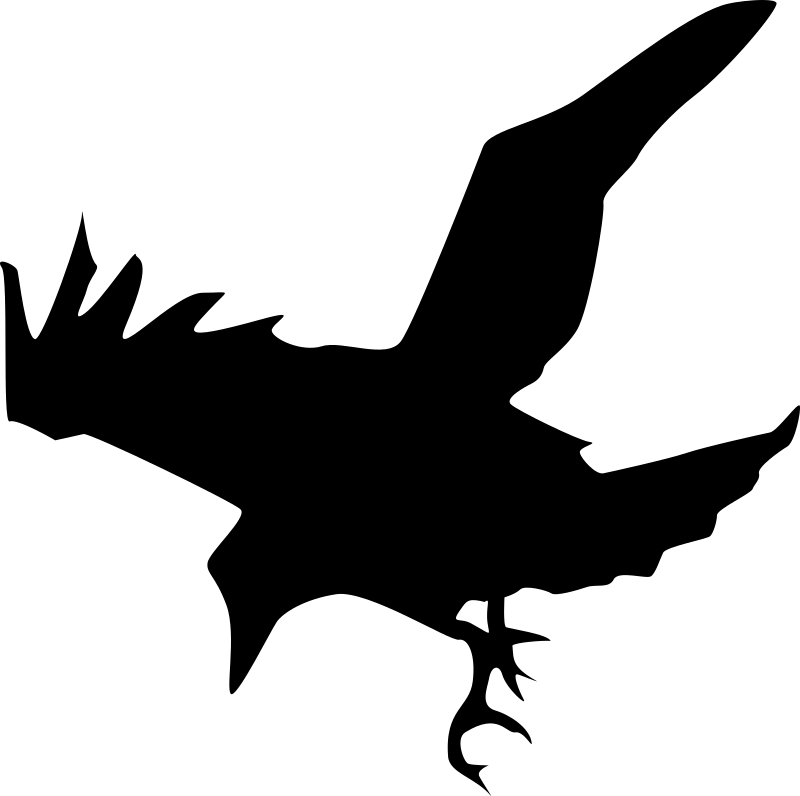 Abstract Bird Silhouette in Flight