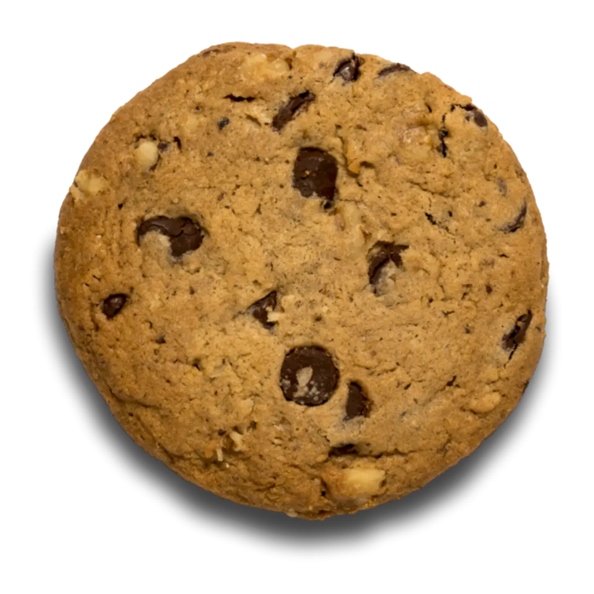 Delicious Chocolate Chip Cookie