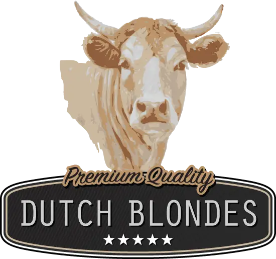 Dutch Blondes Premium Quality Logo