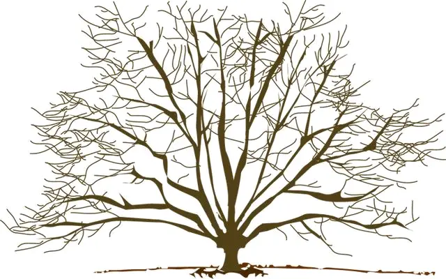 Bare Tree in Minimalist Illustration Design