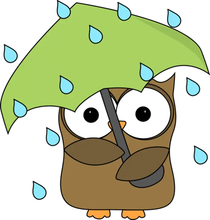 Cute Owl Holding Green Umbrella in Rain