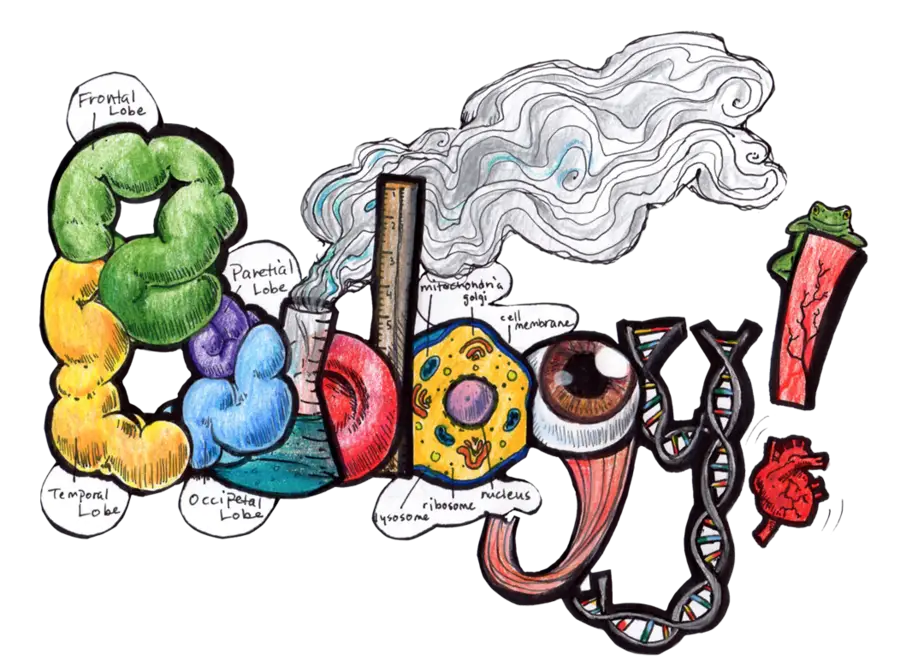 Colorful Biology Illustration