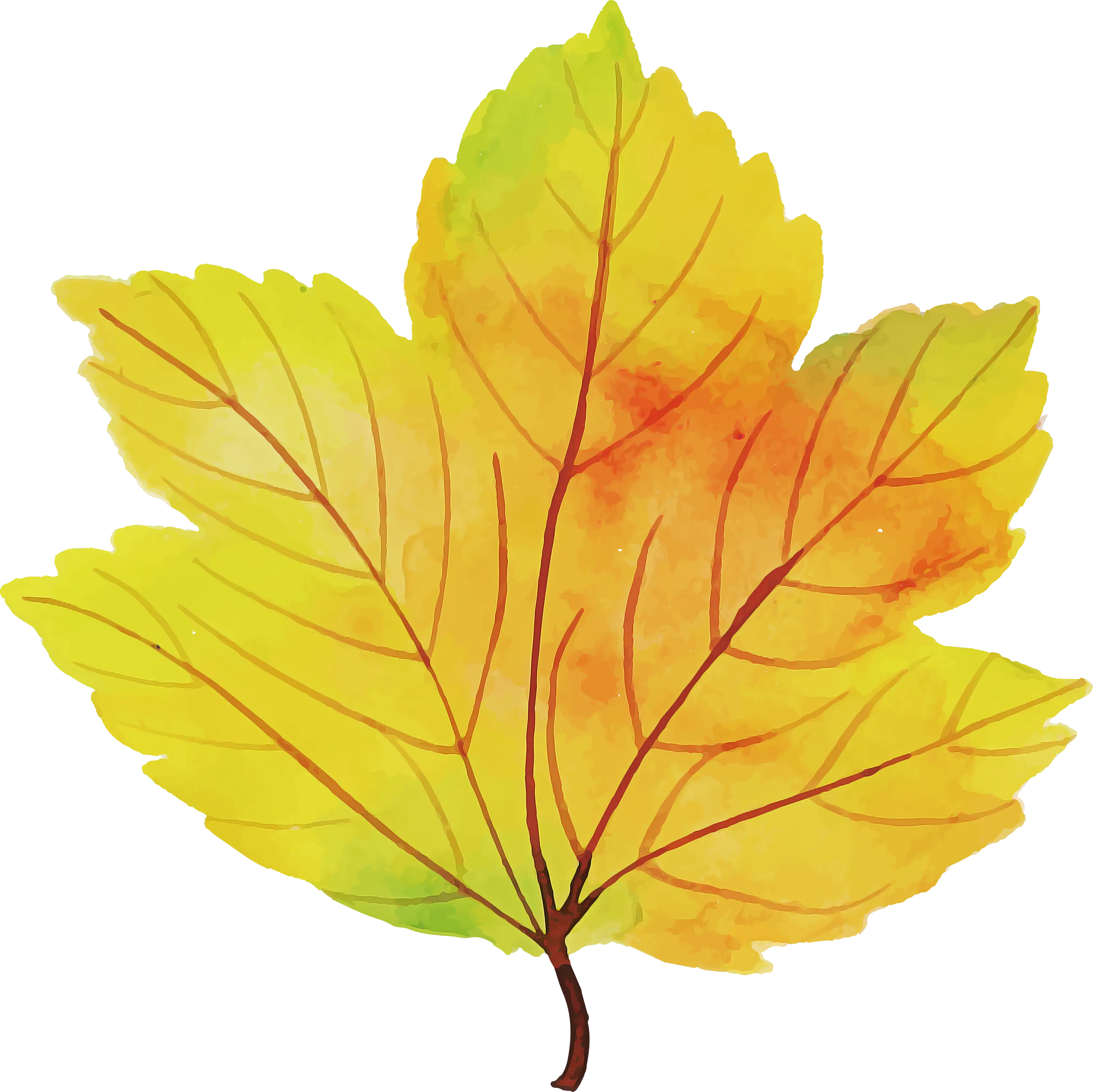 Yellow Leaf Illustration for Autumn Theme