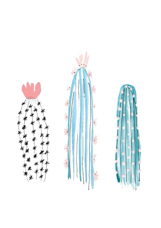Cute Cactus Doodles