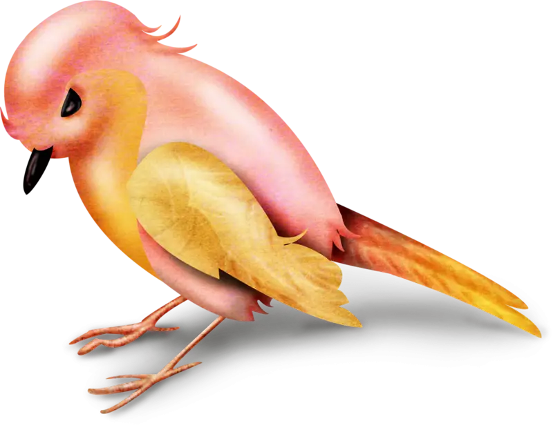 Colorful Bird Illustration
