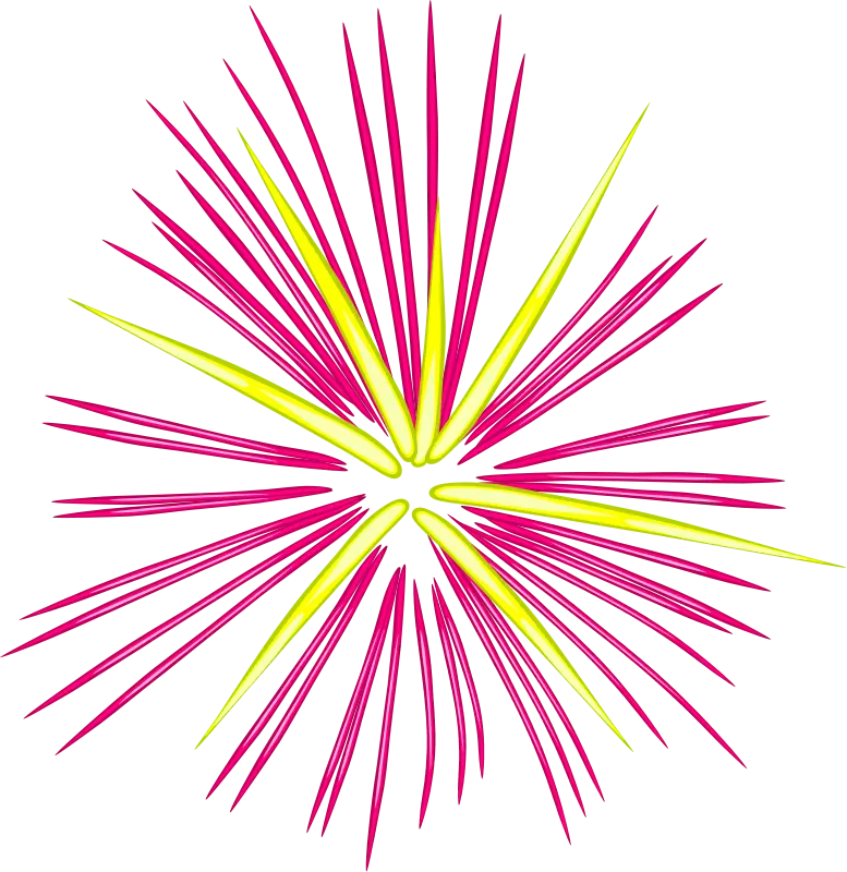Bursting Colorful Firework Illustration