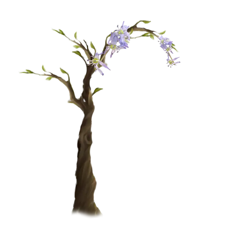 Tree with Flowers